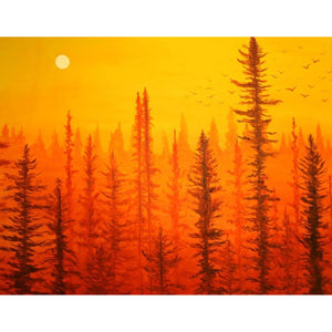 Forest at Dawn Art Print