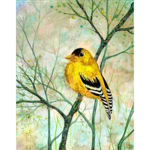Golden Finch Art Print