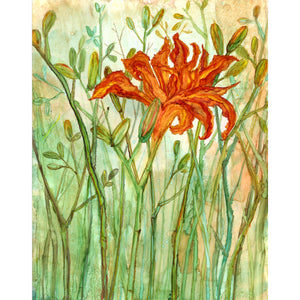 Orange Daylily Art Print